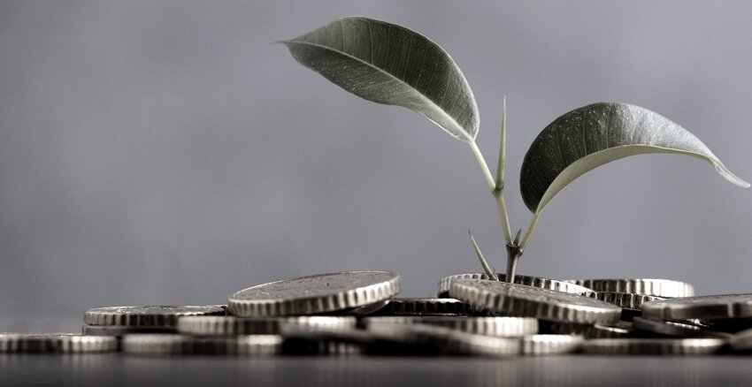 Photo AD Métaux Précieux d'une plante qui pousse au milieu de pièces de monnaie 